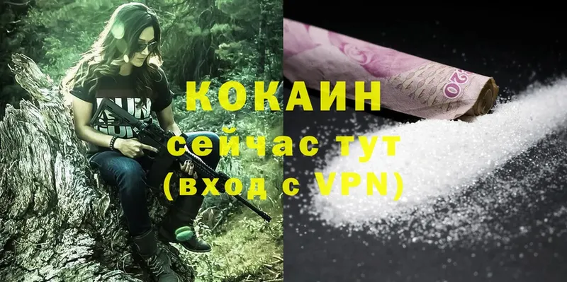 kraken ссылки  Заволжье  Cocaine Fish Scale 